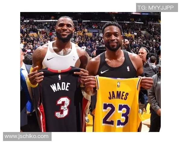 欧文与韦德经典对决视频集锦回顾精彩瞬间与巅峰时刻 欧文与韦德经典对决视频集锦回顾精彩瞬间与巅峰时刻