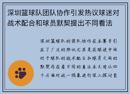 深圳篮球队团队协作引发热议球迷对战术配合和球员默契提出不同看法
